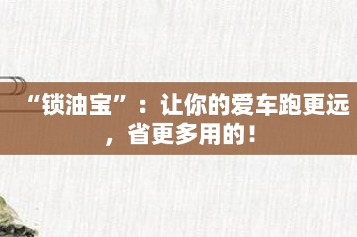 “锁油宝”：让你的爱车跑更远，省更多用的！