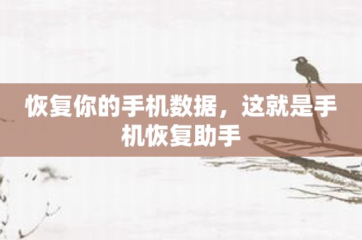 恢复你的手机数据，这就是手机恢复助手
