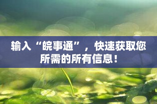 输入“皖事通”，快速获取您所需的所有信息！