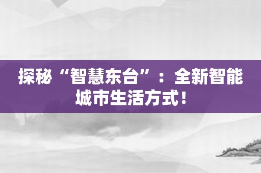 探秘“智慧东台”：全新智能城市生活方式！