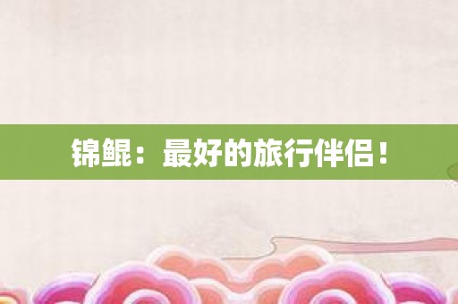 锦鲲：最好的旅行伴侣！