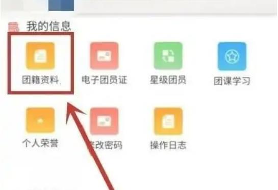 智慧团建如何查看入团时间记录