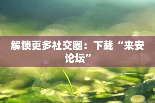 解锁更多社交圈：下载“来安论坛”