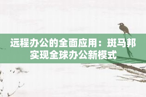 远程办公的全面应用：斑马邦实现全球办公新模式