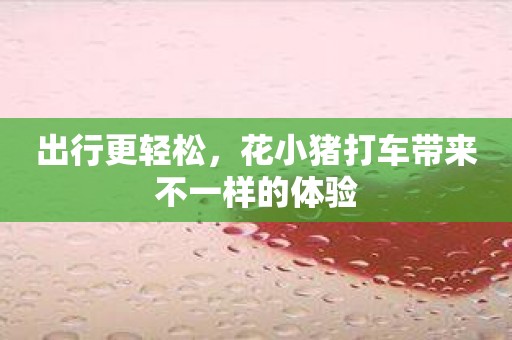 出行更轻松，花小猪打车带来不一样的体验