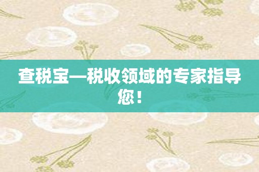 查税宝—税收领域的专家指导您！