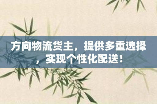 方向物流货主，提供多重选择，实现个性化配送！
