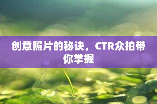 创意照片的秘诀，CTR众拍带你掌握