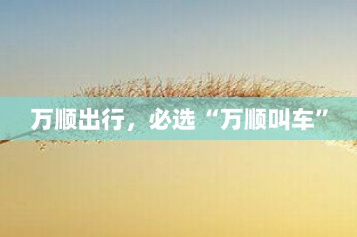 万顺出行，必选“万顺叫车”