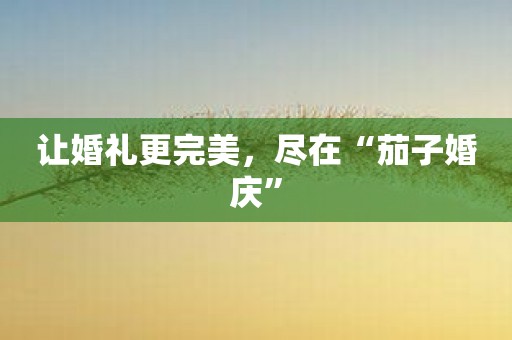 让婚礼更完美，尽在“茄子婚庆”