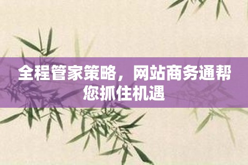 全程管家策略，网站商务通帮您抓住机遇