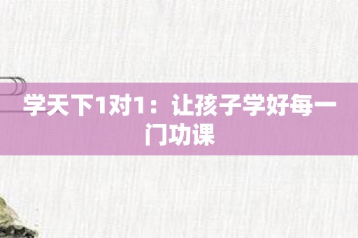 学天下1对1：让孩子学好每一门功课