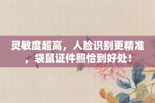 灵敏度超高，人脸识别更精准，袋鼠证件照恰到好处！