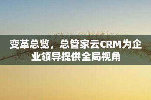 变革总览，总管家云CRM为企业领导提供全局视角