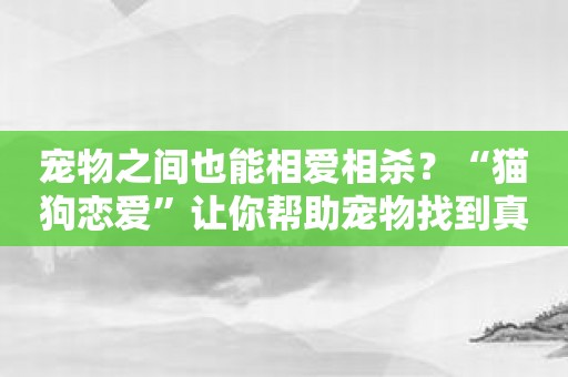 宠物之间也能相爱相杀？“猫狗恋爱”让你帮助宠物找到真爱！