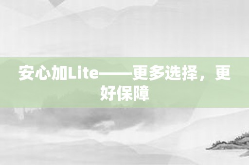 安心加Lite——更多选择，更好保障