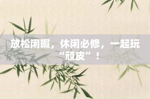 放松闲暇，休闲必修，一起玩“顽皮”！