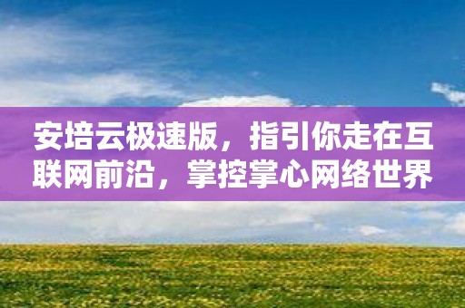 安培云极速版，指引你走在互联网前沿，掌控掌心网络世界！