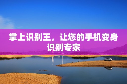 掌上识别王，让您的手机变身识别专家