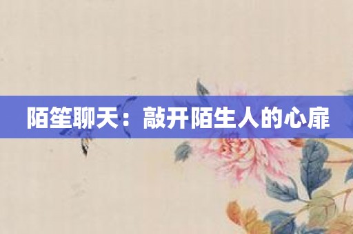 陌笙聊天：敲开陌生人的心扉