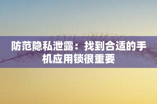 防范隐私泄露：找到合适的手机应用锁很重要