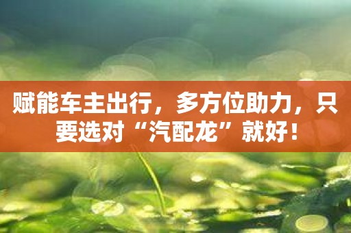 赋能车主出行，多方位助力，只要选对“汽配龙”就好！