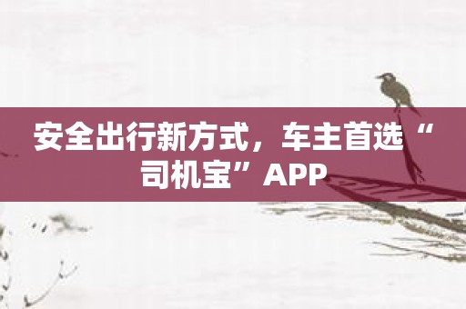 安全出行新方式，车主首选“司机宝”APP