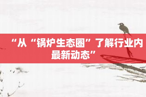 “从“锅炉生态圈”了解行业内最新动态”