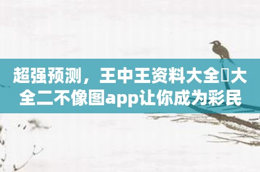 超强预测，王中王资料大全枓大全二不像图app让你成为彩民界的赢家
