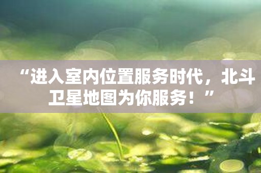 “进入室内位置服务时代，北斗卫星地图为你服务！”