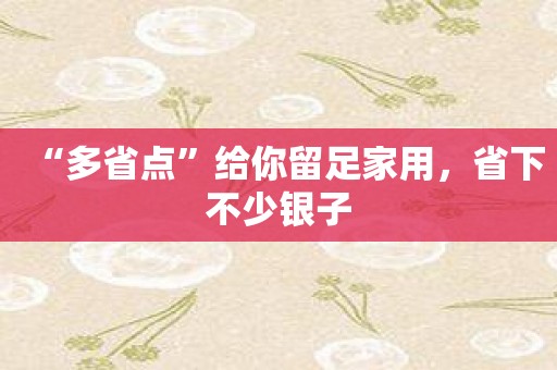 “多省点”给你留足家用，省下不少银子