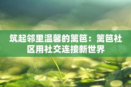 筑起邻里温馨的篱笆：篱笆社区用社交连接新世界