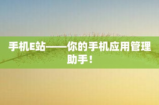 手机E站——你的手机应用管理助手！