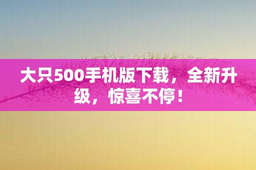 大只500手机版下载，全新升级，惊喜不停！