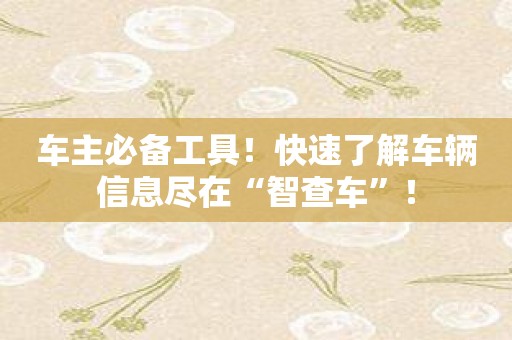 车主必备工具！快速了解车辆信息尽在“智查车”！