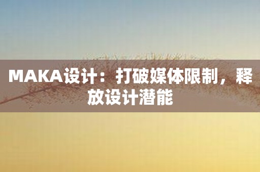 MAKA设计：打破媒体限制，释放设计潜能