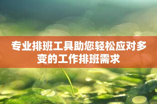 专业排班工具助您轻松应对多变的工作排班需求