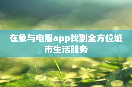 在象与电服app找到全方位城市生活服务