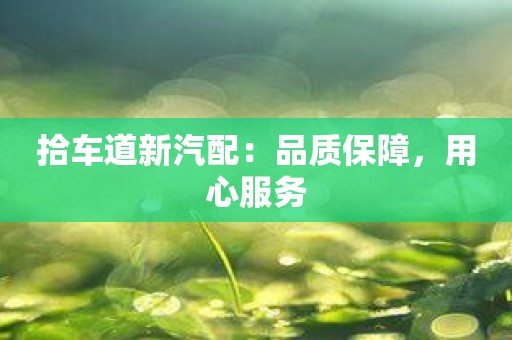 拾车道新汽配：品质保障，用心服务
