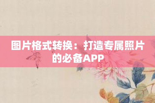 图片格式转换：打造专属照片的必备APP