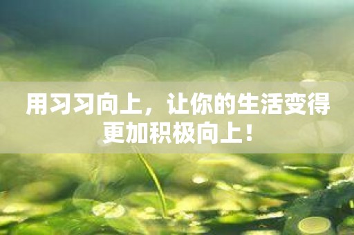 用习习向上，让你的生活变得更加积极向上！