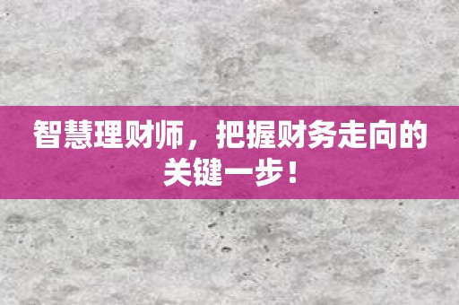 智慧理财师，把握财务走向的关键一步！