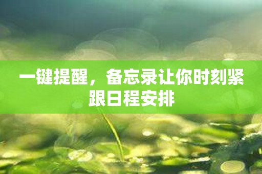 一键提醒，备忘录让你时刻紧跟日程安排