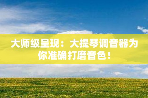 大师级呈现：大提琴调音器为你准确打磨音色！