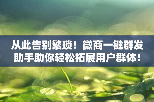 从此告别繁琐！微商一键群发助手助你轻松拓展用户群体！