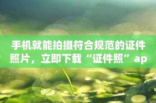 手机就能拍摄符合规范的证件照片，立即下载“证件照”app！