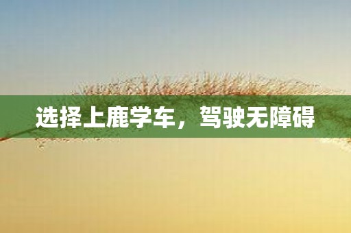选择上鹿学车，驾驶无障碍