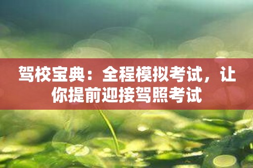 驾校宝典：全程模拟考试，让你提前迎接驾照考试
