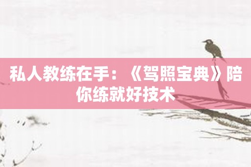 私人教练在手：《驾照宝典》陪你练就好技术