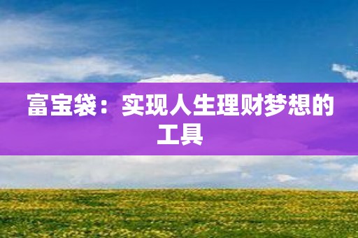 富宝袋：实现人生理财梦想的工具